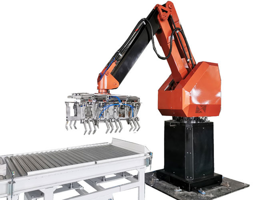 Pick and Place Pallettizzazione robotizzata con progettazione del layout di fabbrica nell'industria chimica