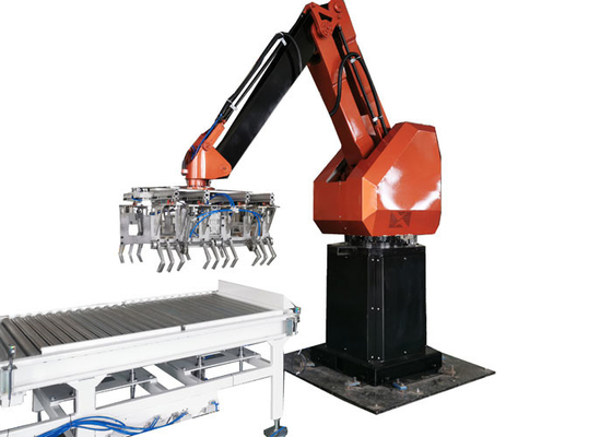 Multi linea borsa robot Palletizer del braccio nella linea del fertilizzante