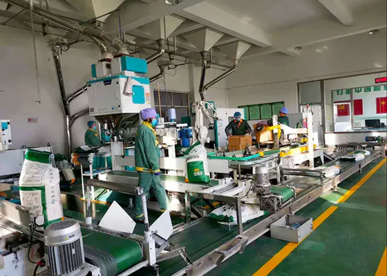 Insacchettatrice automatica dei semi per la borsa materiale in serie 20-50kg nell'industria dell'alimentazione animale