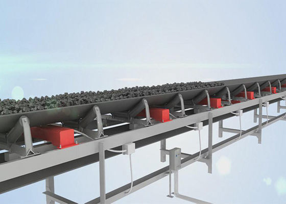 Pesatore regolabile del nastro trasportatore di velocità 10Tph 1500mm