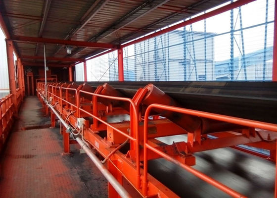 Pesatore del nastro trasportatore di IP65 250Tph per industria carboniera