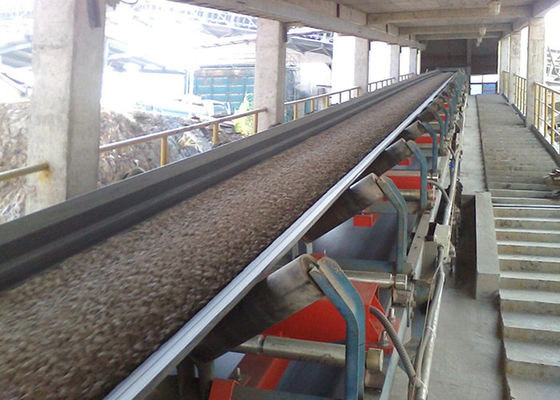 Pesatore del nastro trasportatore del commestibile 220VAC 600mm nell'industria saliera